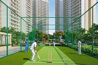 Cricket Court