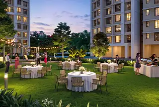 Party Lawn